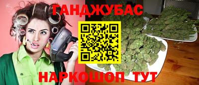 твердый Сланцы