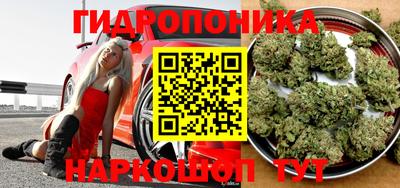 гидра Славянск-на-Кубани